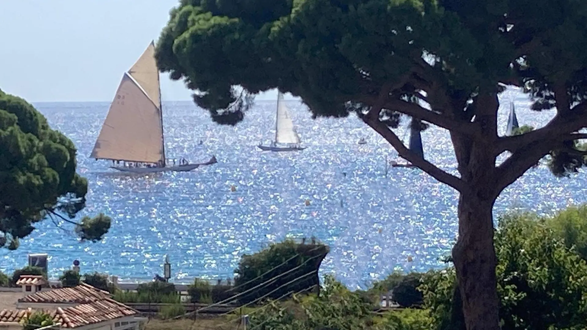 Cannes Beach Access, Private Room In Shared 3-Bedroom Apartment, Private Bathroom, Living Room With Sea View Suite Parentale Salle De Bain Privee Acces Plages & Vue Mer Du Salon Dans Appartement Partage Chez L\'Habitant contacts