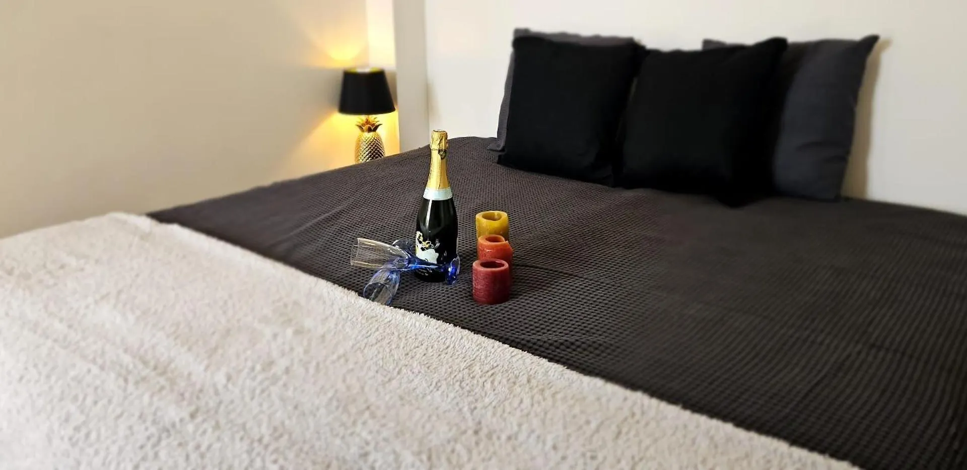 Cannes Beach Access, Private Room In Shared 3-Bedroom Apartment, Private Bathroom, Living Room With Sea View Suite Parentale Salle De Bain Privee Acces Plages & Vue Mer Du Salon Dans Appartement Partage Chez L'Habitant