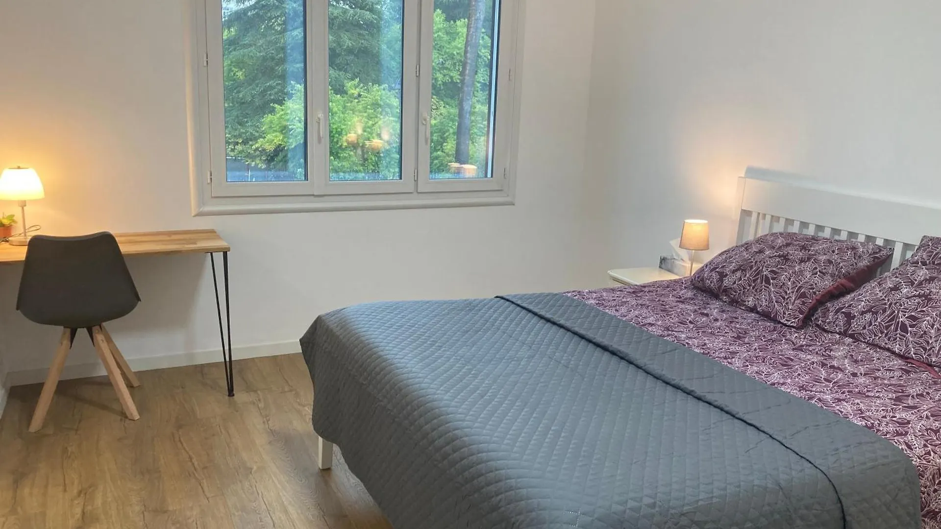 Cannes Beach Access, Private Room In Shared 3-Bedroom Apartment, Private Bathroom, Living Room With Sea View Suite Parentale Salle De Bain Privee Acces Plages & Vue Mer Du Salon Dans Appartement Partage Chez L'Habitant